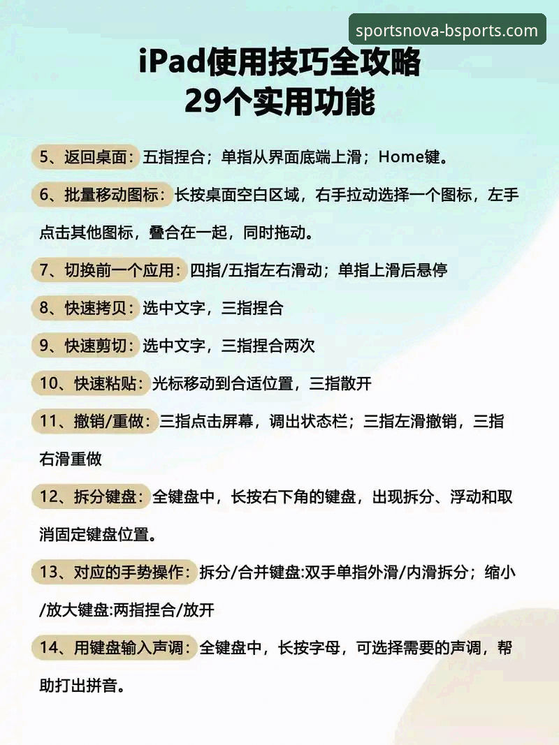 BSports互动体验实战心得：资深用户分享高效使用秘籍